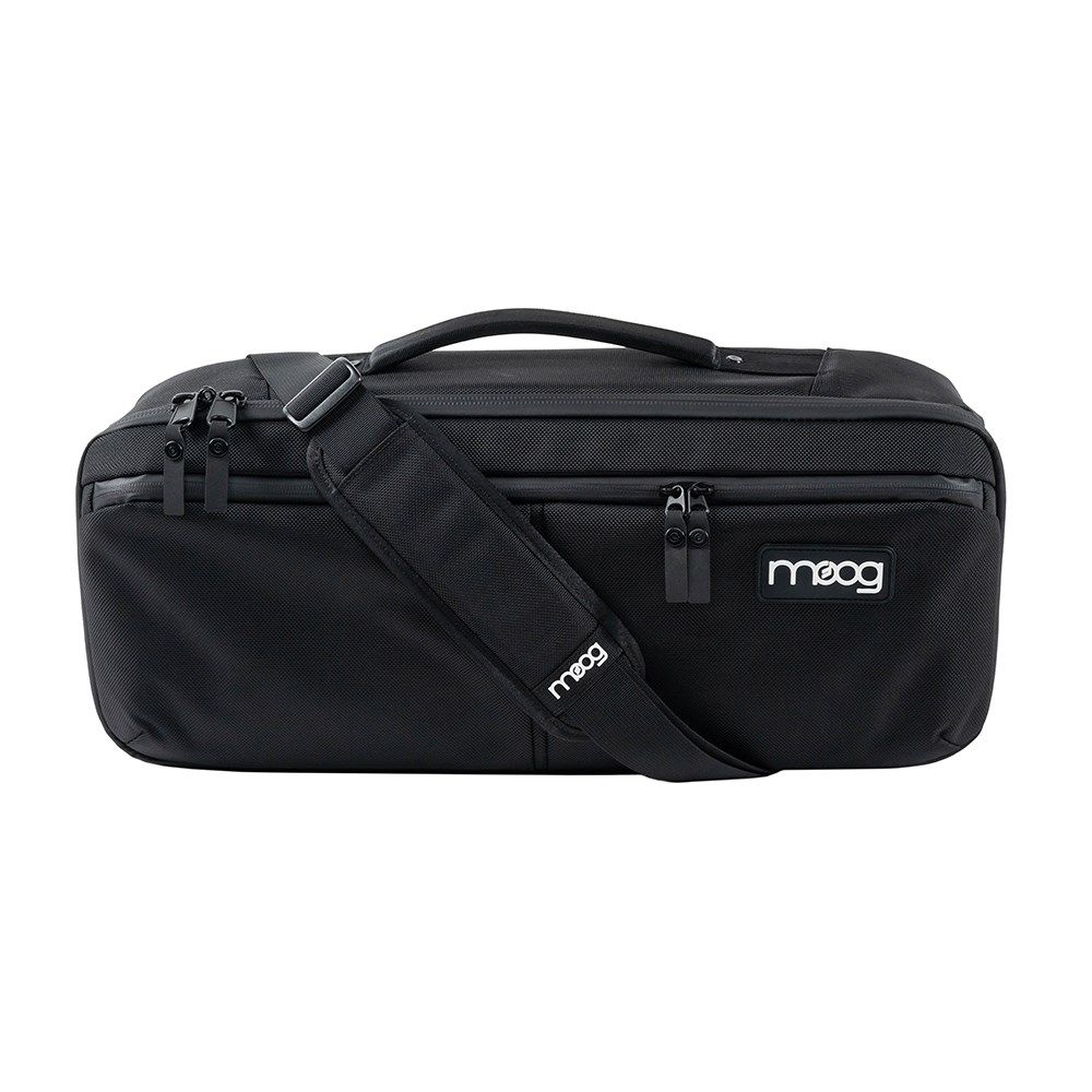 Moog Etherwave Theremin SR Case
