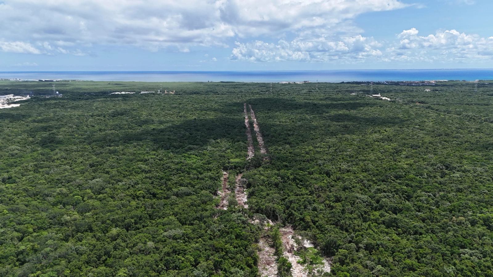 Selva Real, Playa del Carmen