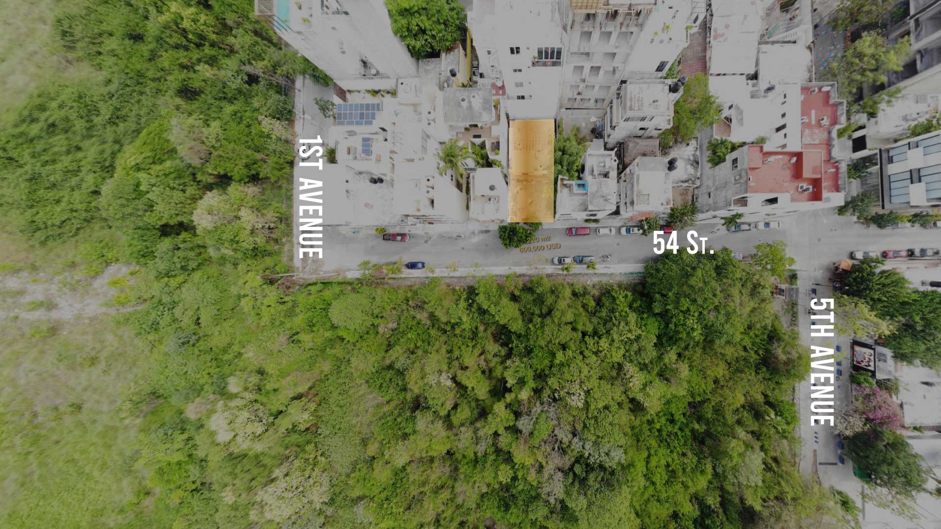 Lote 1 — Developer Lot Playa del Carmen