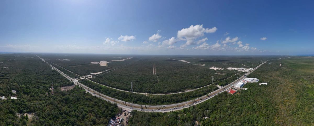 Selva Real, foto 6