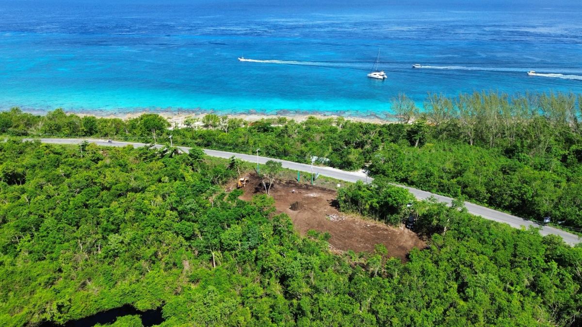 Existence, Cozumel