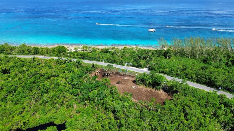 Existence, Cozumel
