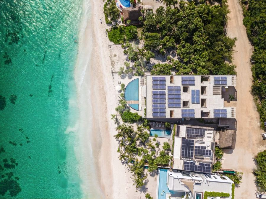 Maranta, Tulum