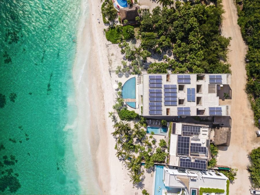 Maranta, Tulum