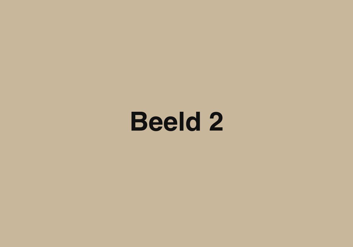 Okaido beeld 2