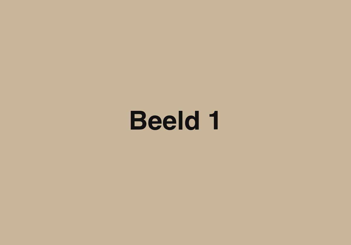 Okaido beeld 1