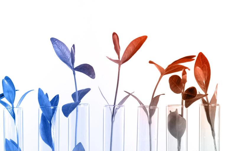 Semer, cultiver, récolter : Les secrets d’un pipeline de talents efficace
