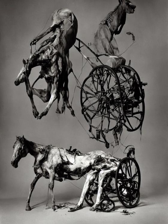 Dead Horses And Wheelchairs - 1