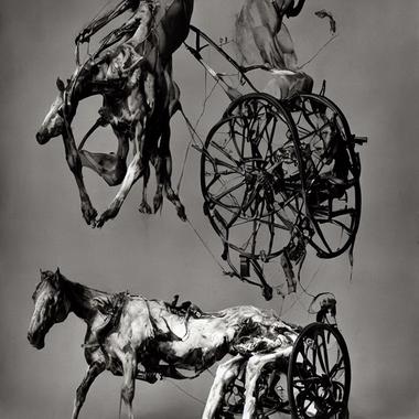 Dead Horses And Wheelchairs