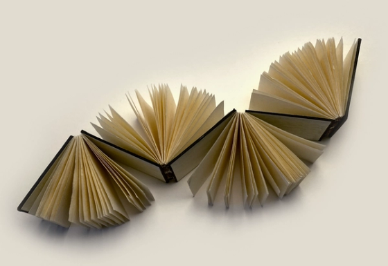 Poetic Book Structures, 2011-14 - 1