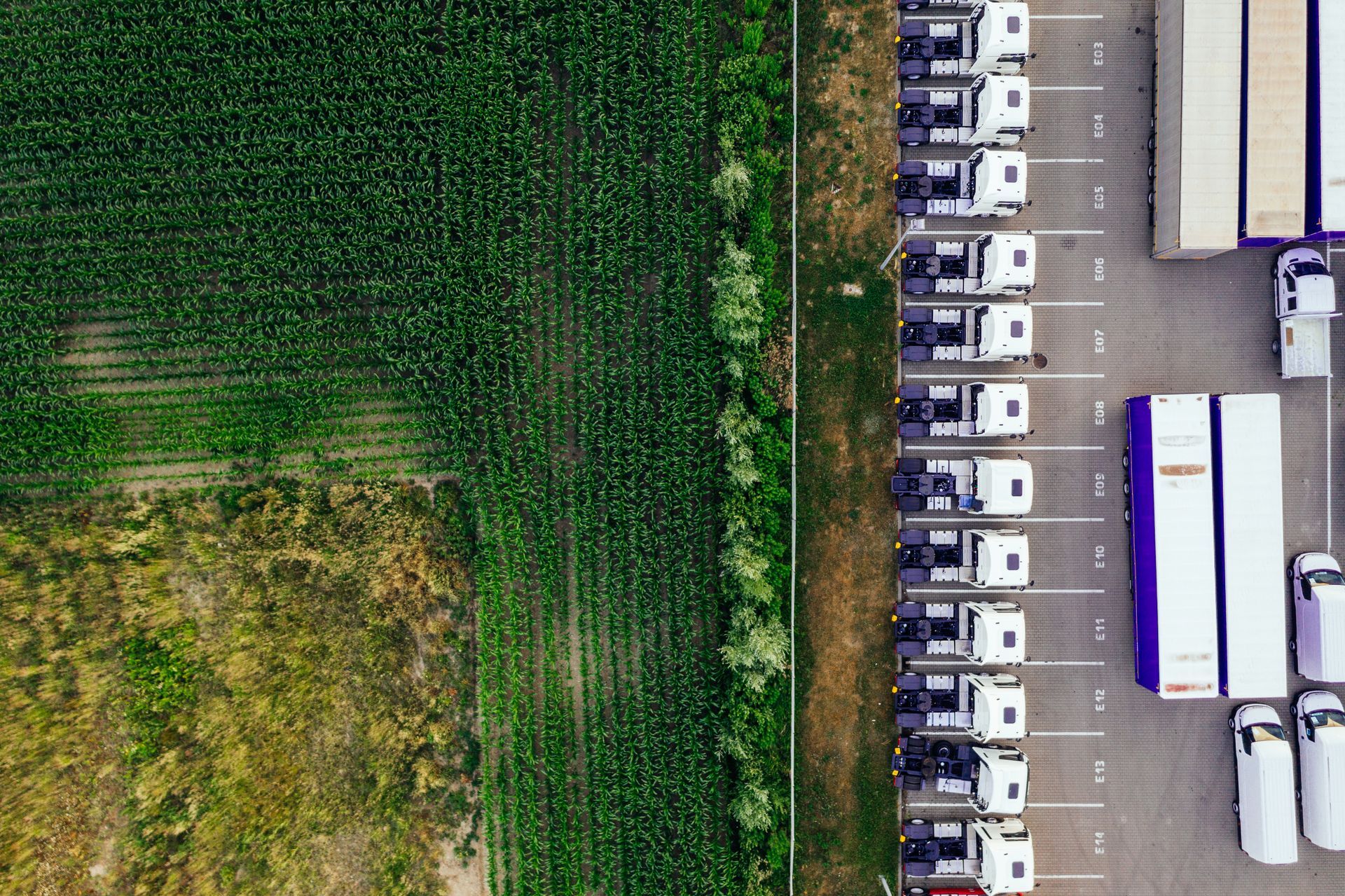 Drone shot of parked trucks next to a lush green cropland