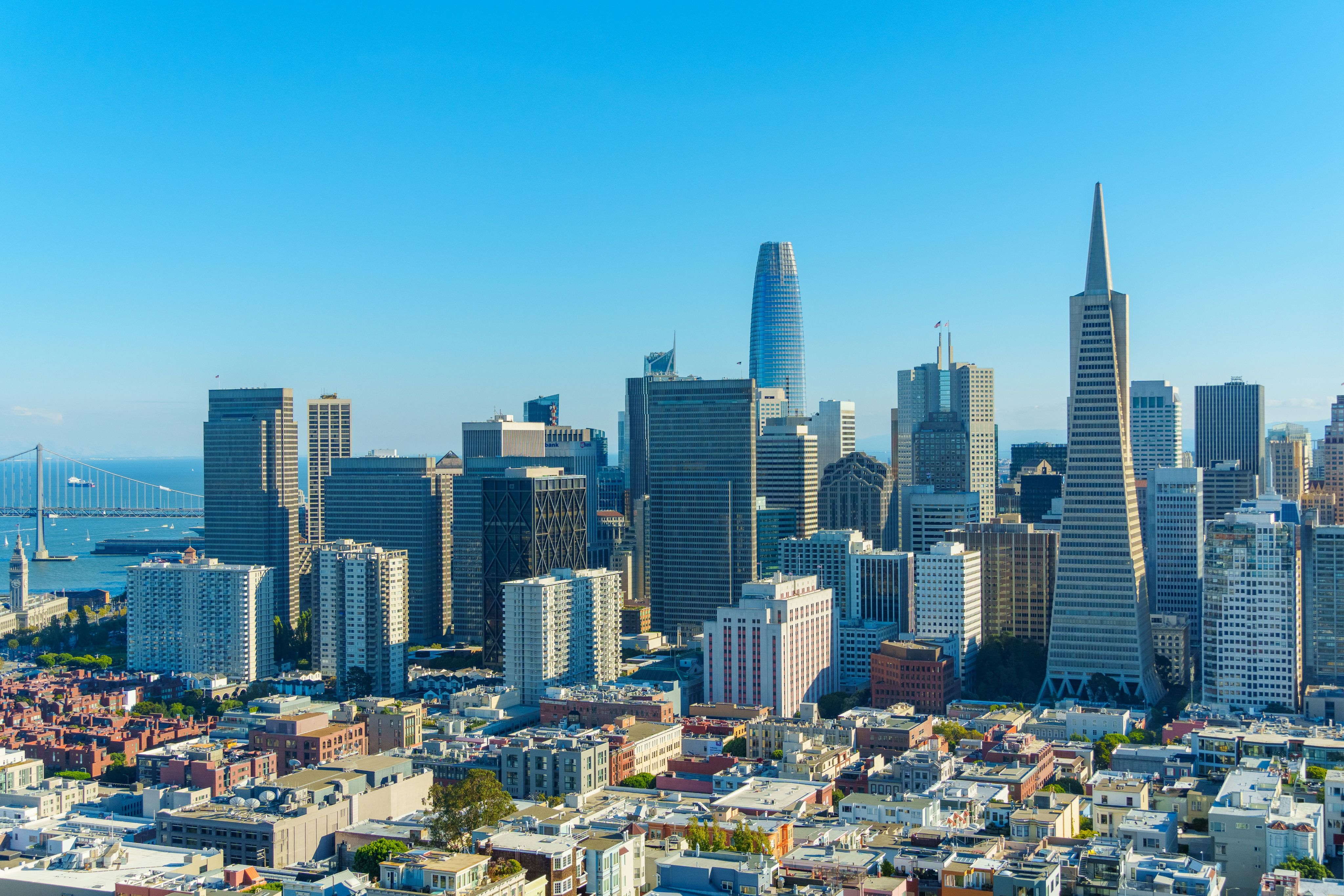 The San Francisco skyline