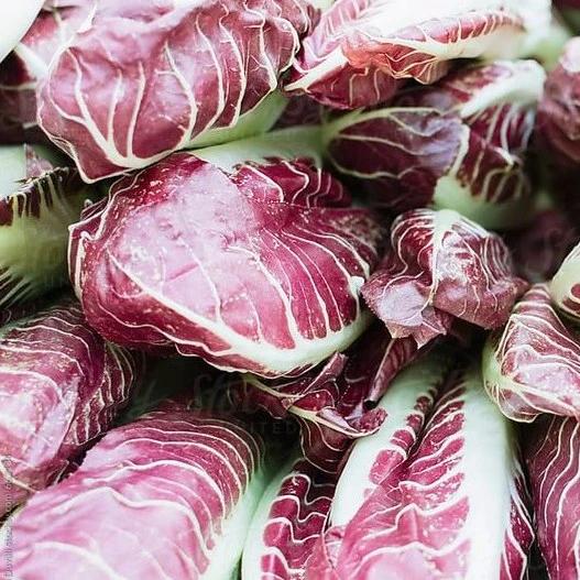 Heads of radicchio packed closely together