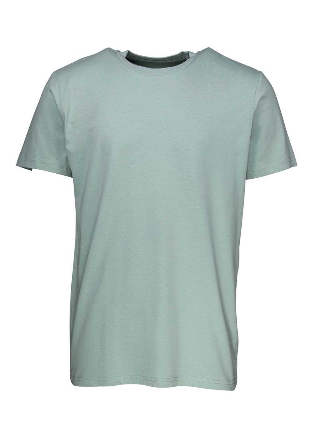 Bæredygtig Premium Unisex T-shirt Aloe