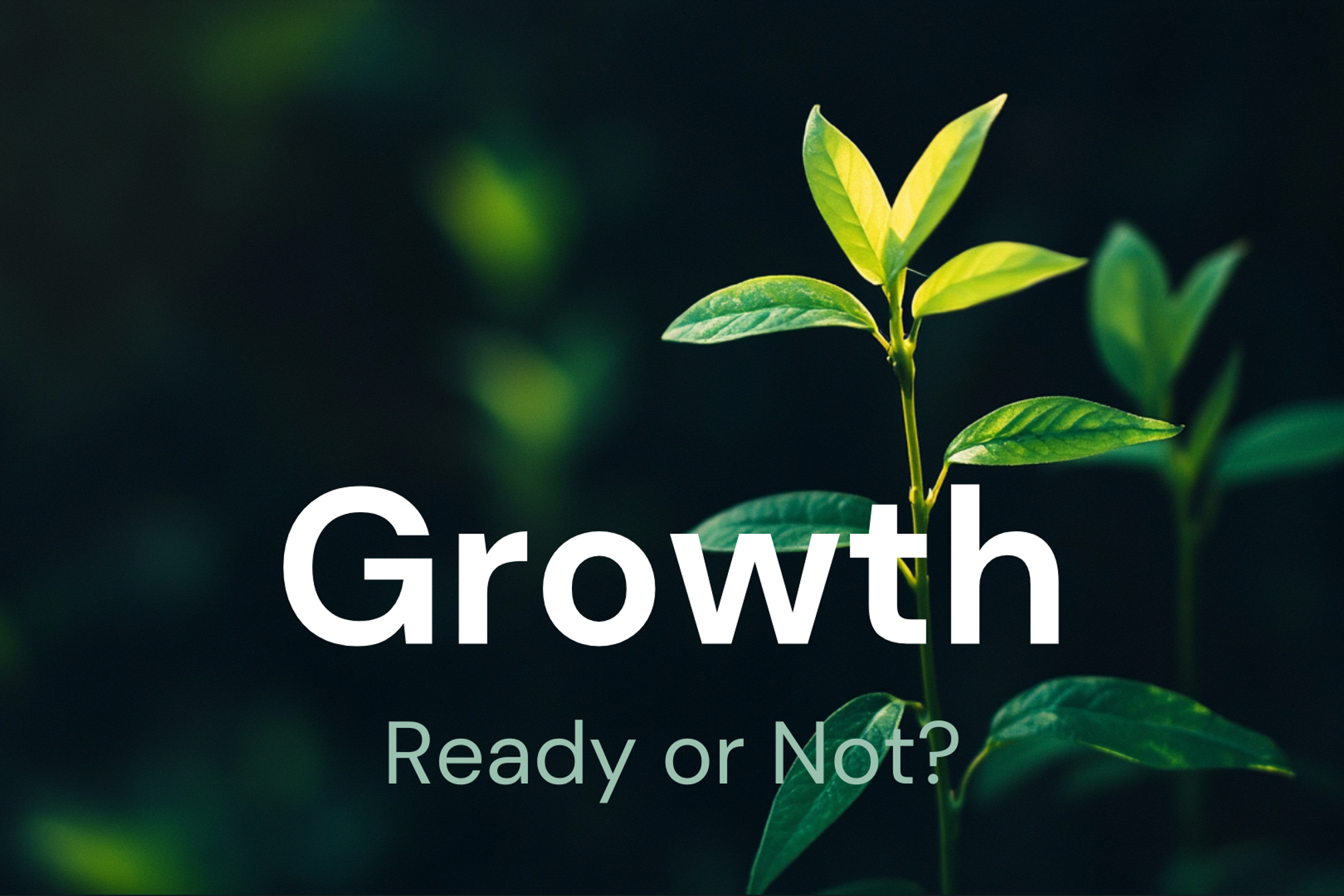 Financial-Advice-Practice-Growth-Strategy