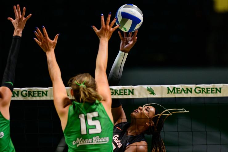 Florida vs North Texas volleyball at Super Pit — Photo Credit: Luis Revilla Mata/Undrafted