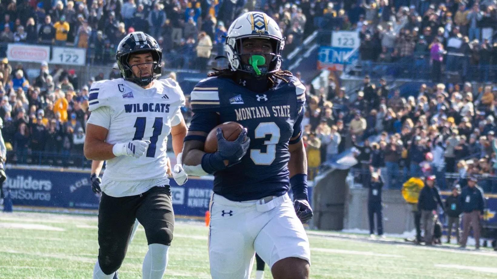 Montana State's Jared White runs with the football as a Weber State defender chases him in front of a packed Bobcat Stadium crowd in Bozeman