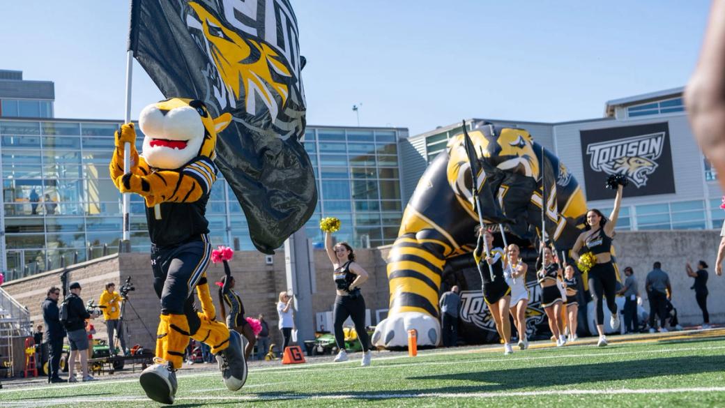 Towson mascot Doc leads the Tigers football team onto the field before a home game, file photo; used with Towson's 44-13 win over Hampton on Oct. 31, 2026