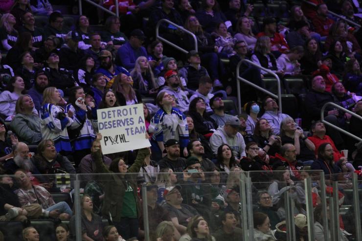 A New Era for Women's Hockey: Record Crowds and Growing Horizons