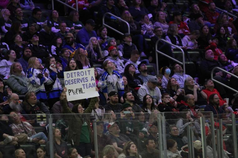 A New Era for Women's Hockey: Record Crowds and Growing Horizons