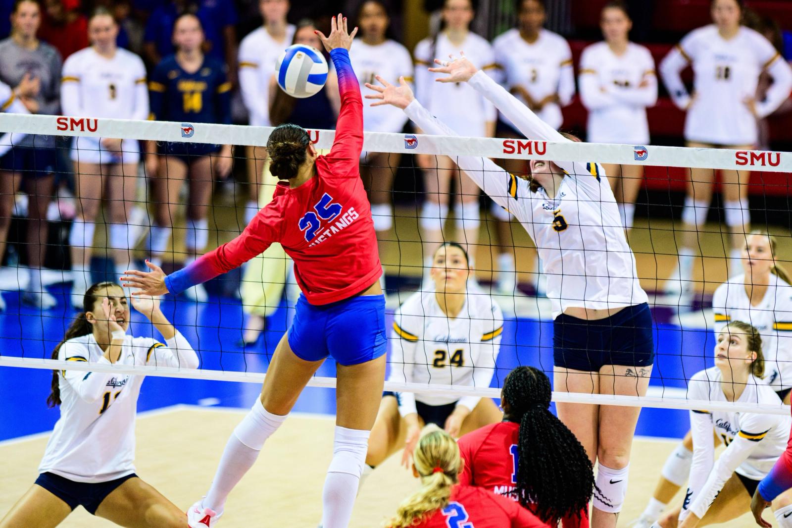 Photo Credit: Luis Revilla Mata/Undrafted — SMU #25 spikes over the net as Cal #3 leaps to block at Moody Coliseum