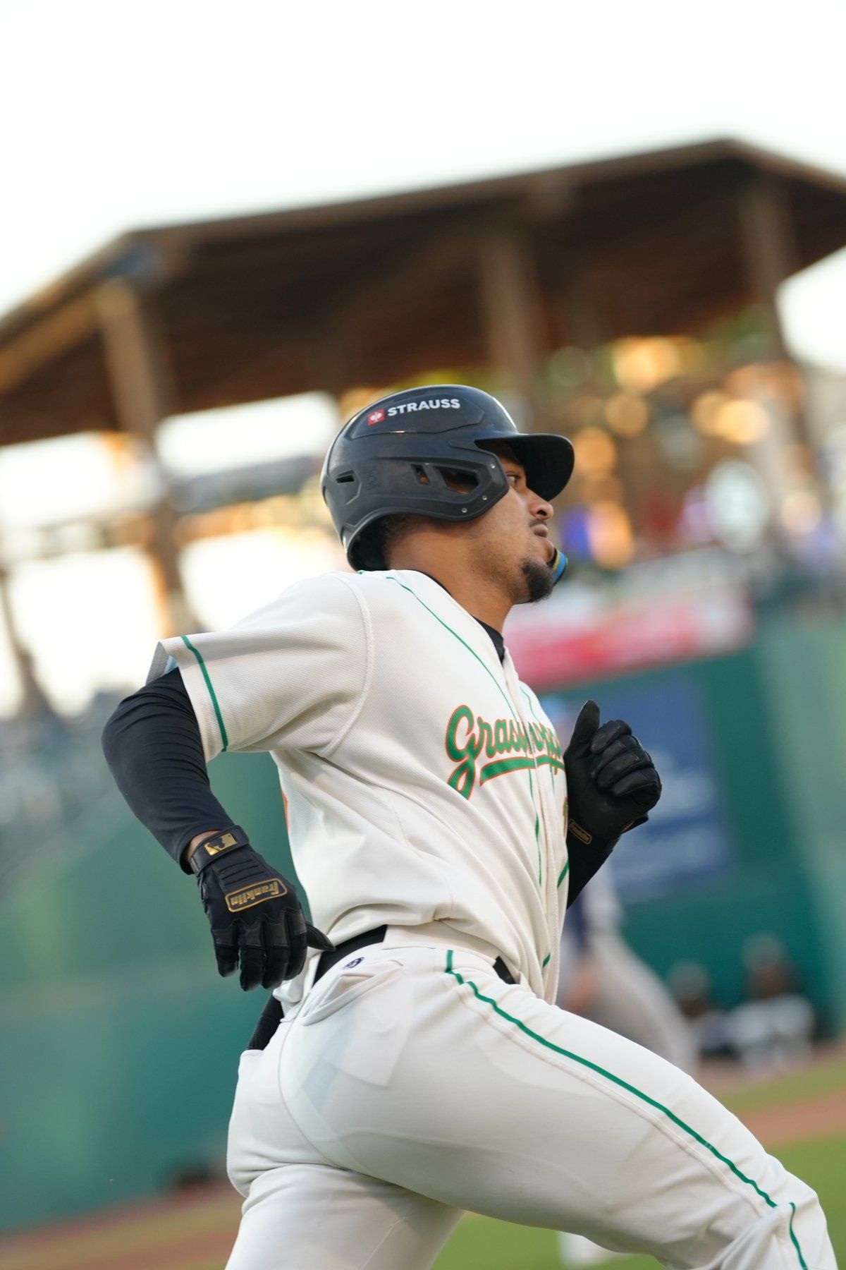 Asheville Tourists at Greensboro Grasshoppers — Photo Credit: Matthew Lewyn/Undrafted