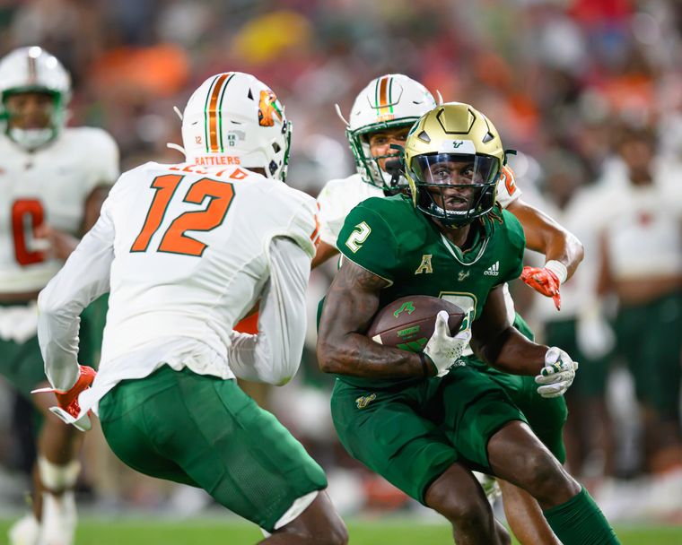 Florida A&M Rattlers vs. South Florida Bulls: FAMU's Struggle in Tampa