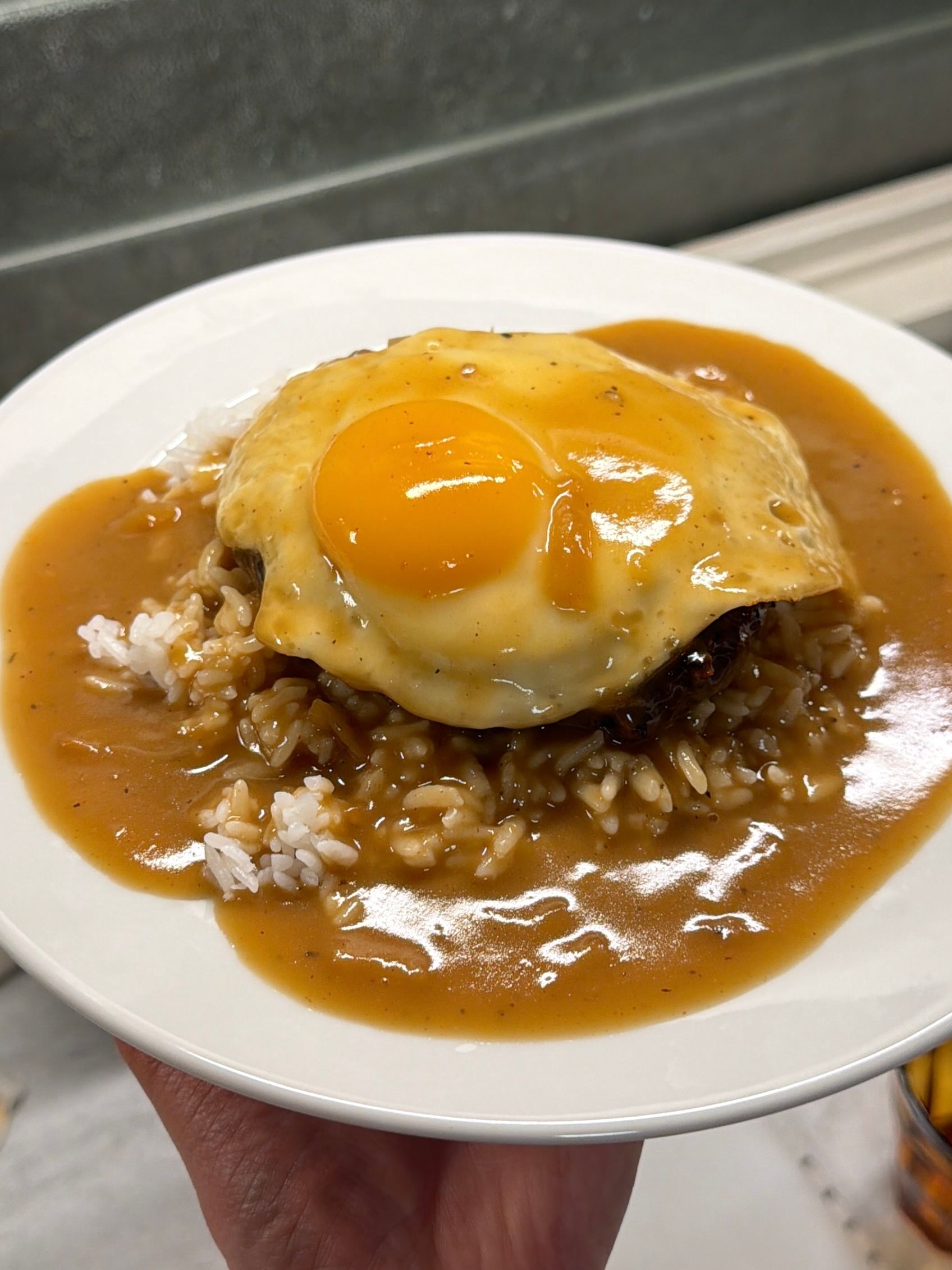 【Loco Moco】 Loco-Moco-overhead-landscape-