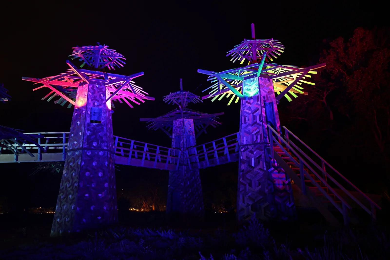 Paradisum Forest 7