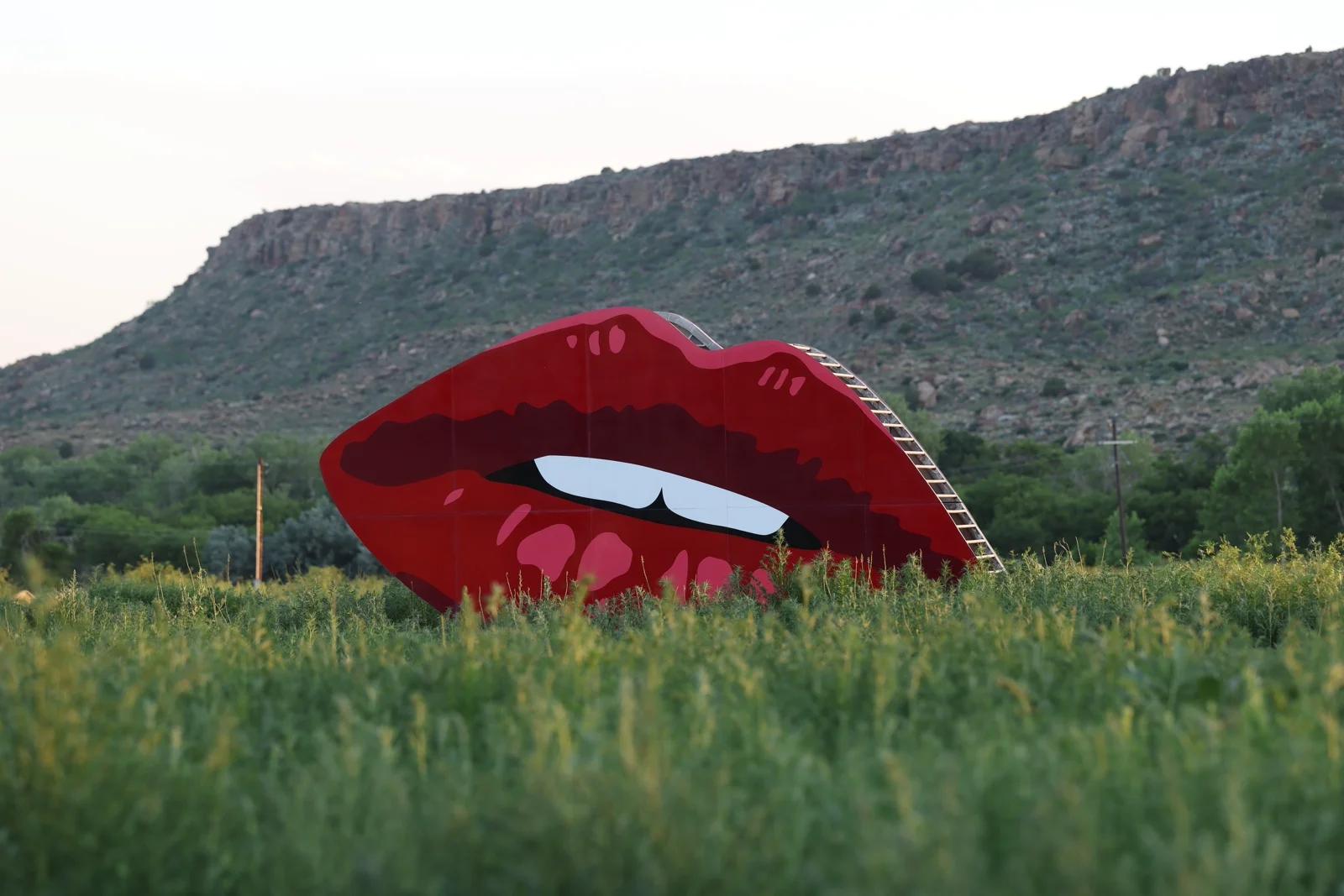 The Lips 3