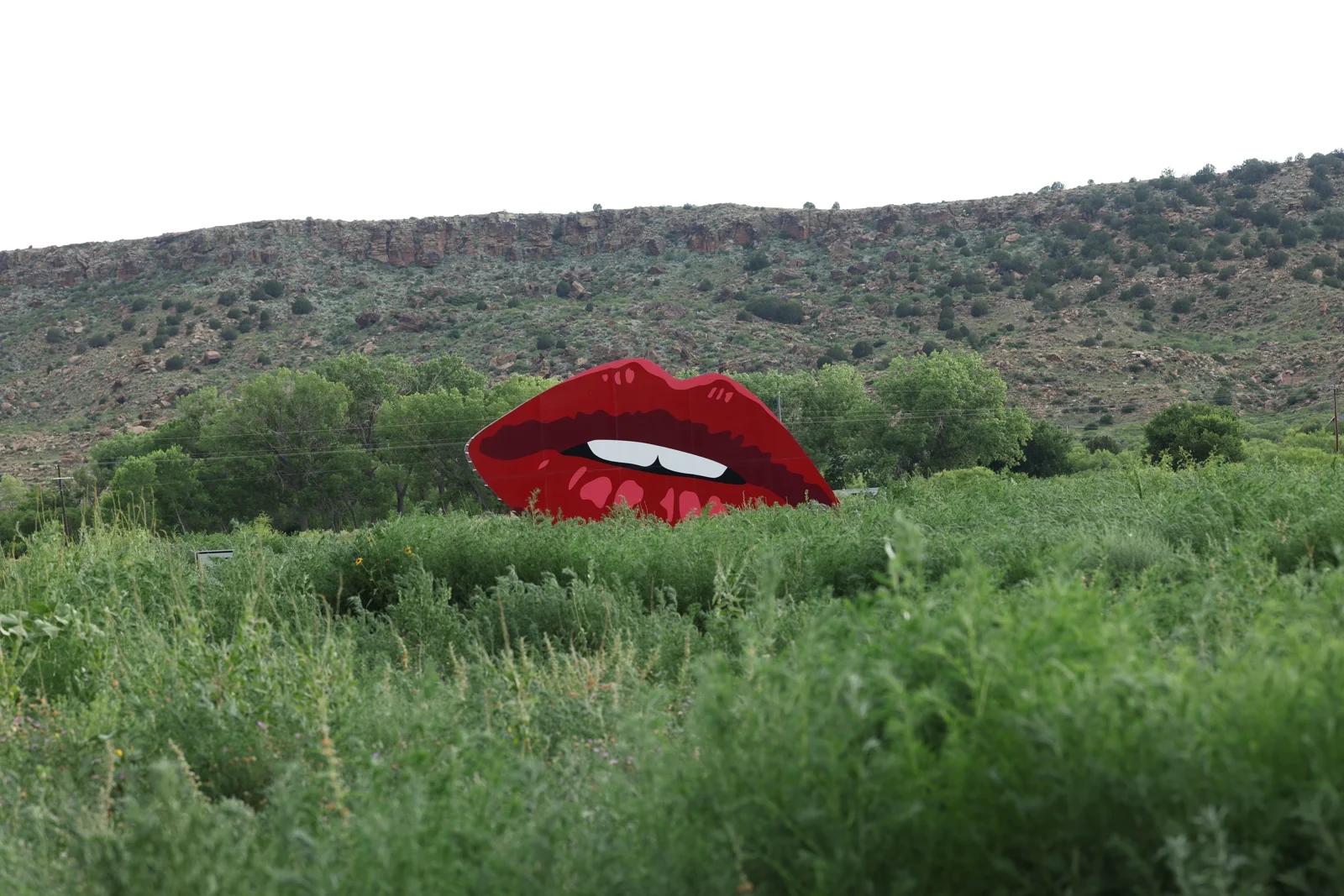 Lips
