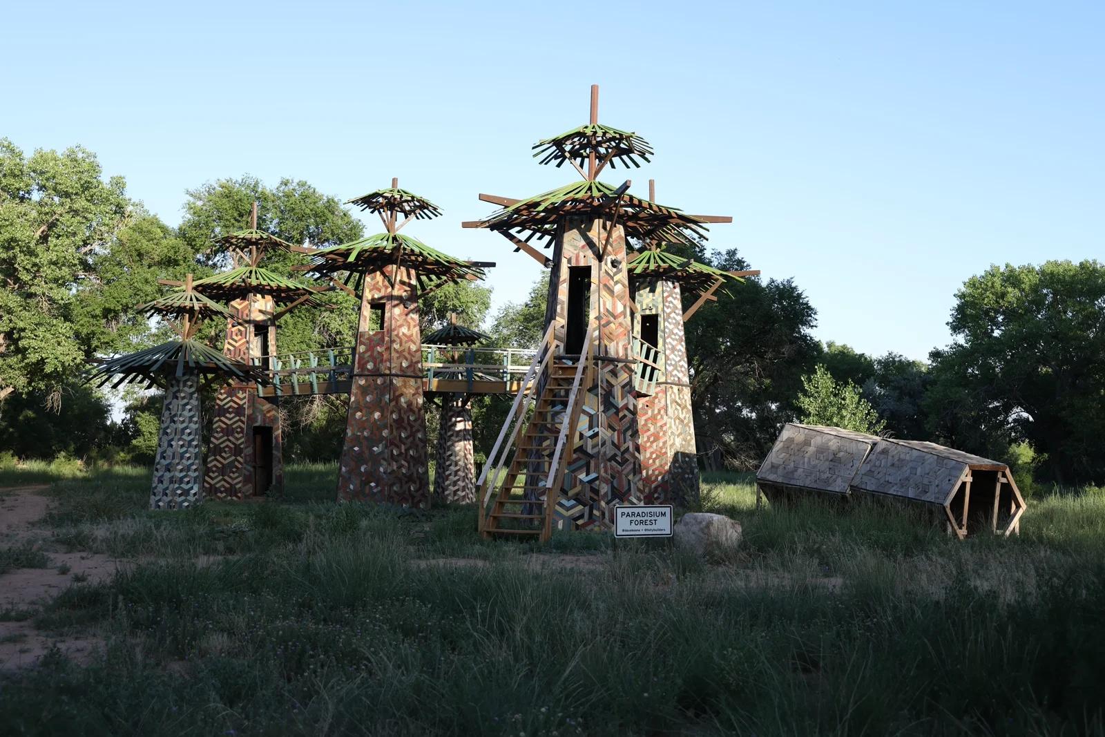 Paradisum Forest 2