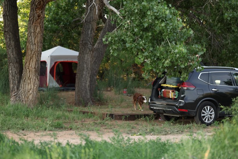 Tent Sites 1