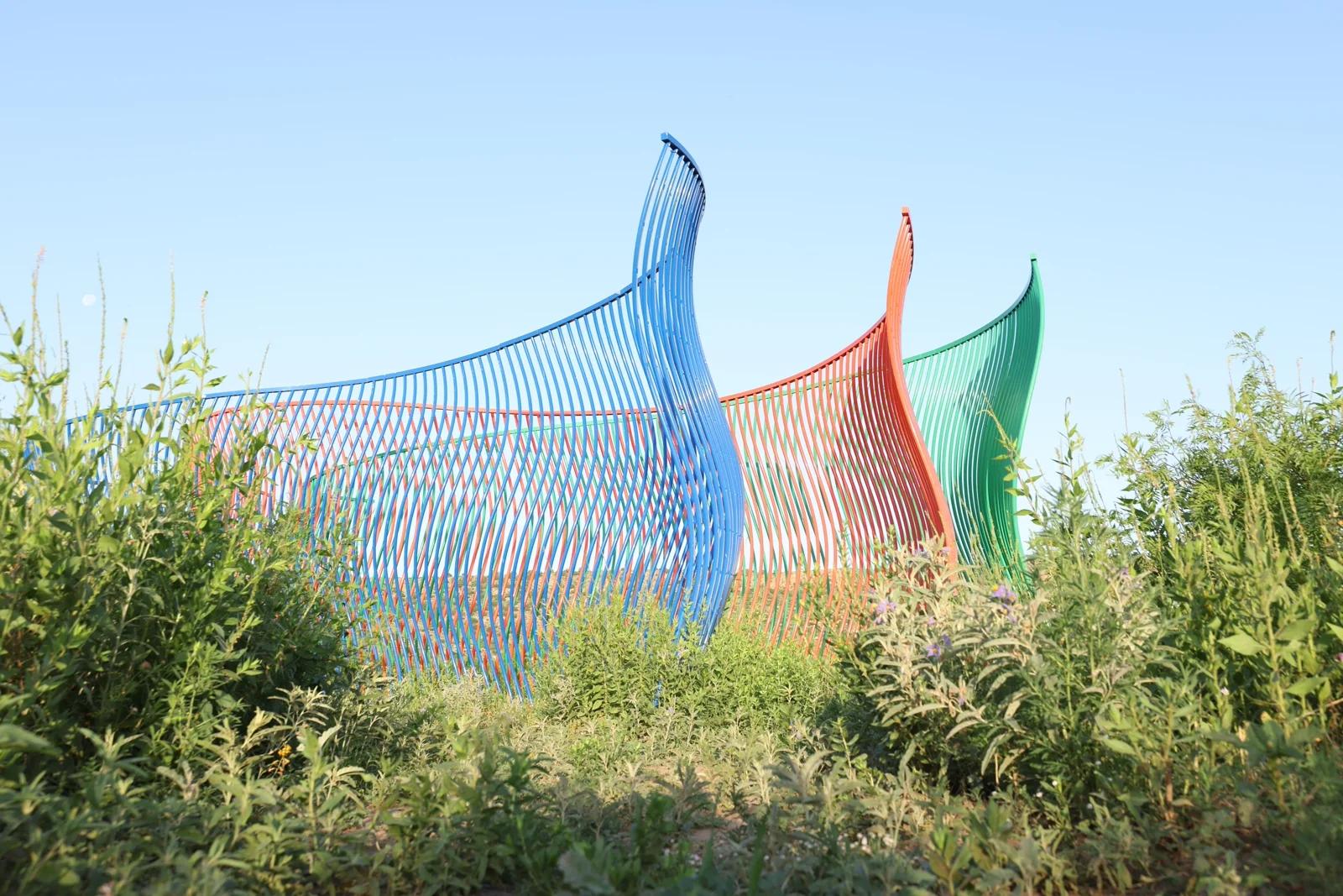 Evolution Field