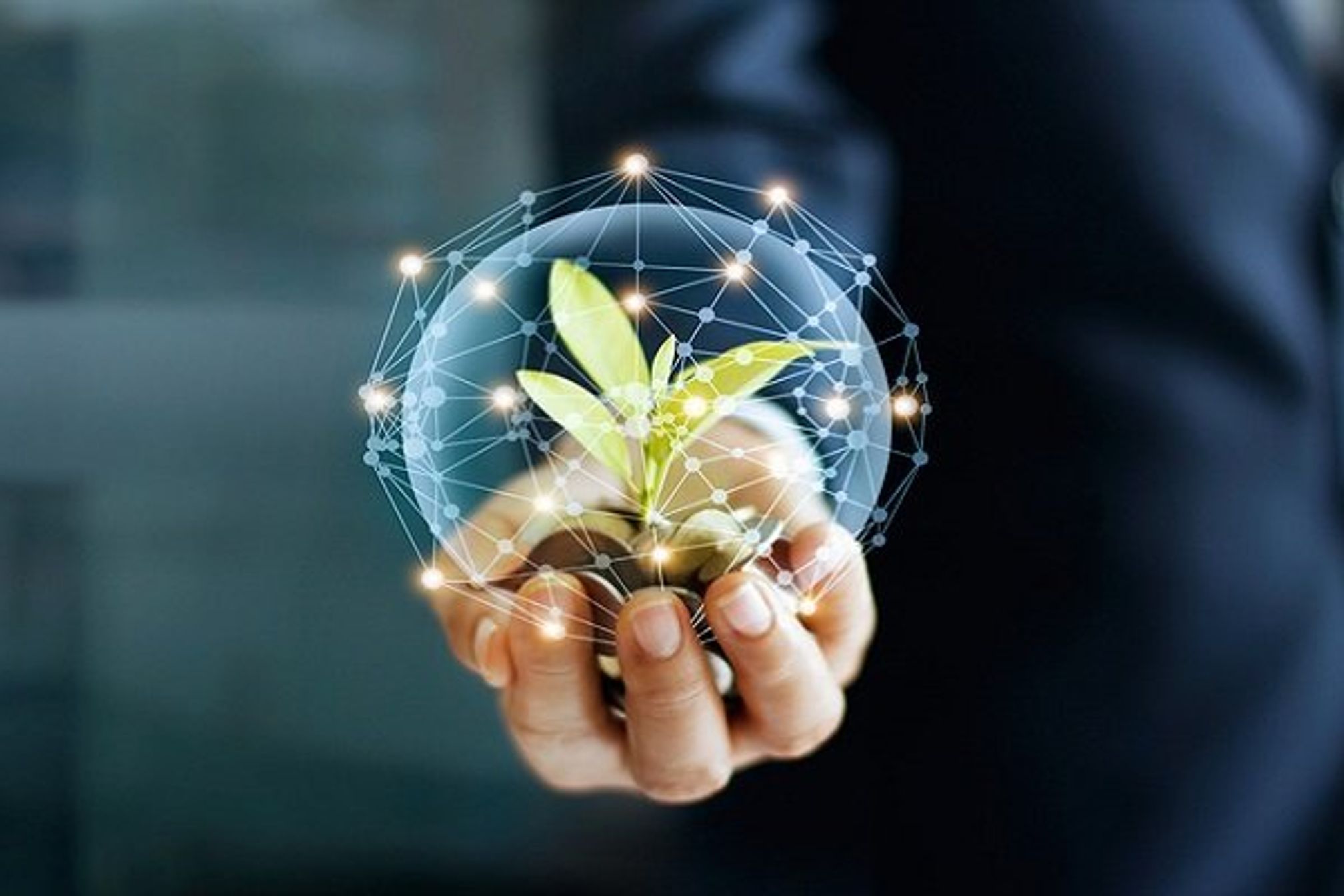 Businessman hand with coins and sprout in network connection. Plant growing on pile of coins money. Money growth concept.