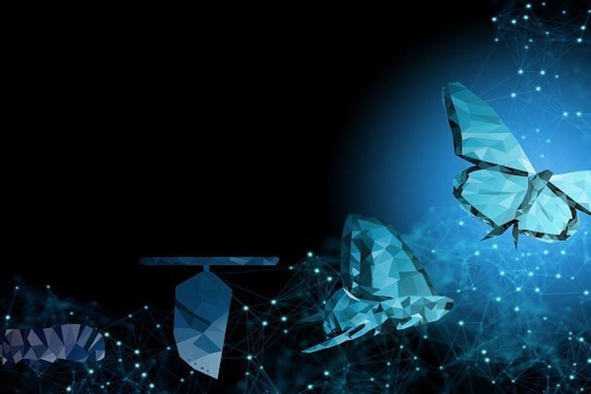 Background copy space Business transformation innovation change management technology to blockchain, ai like butterfly life cycle imply with success future digitalization evolution leadership strategy