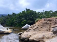 Nuevo sismo de 4,6 grados sacude Chocó a un mes del terremoto que golpeó a Colombia
