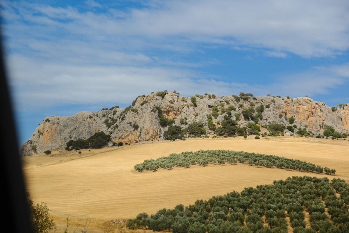 Aragón premia a los cazadores por su rol en la conservación ambiental, entre cuestionamientos de grupos ecologistas