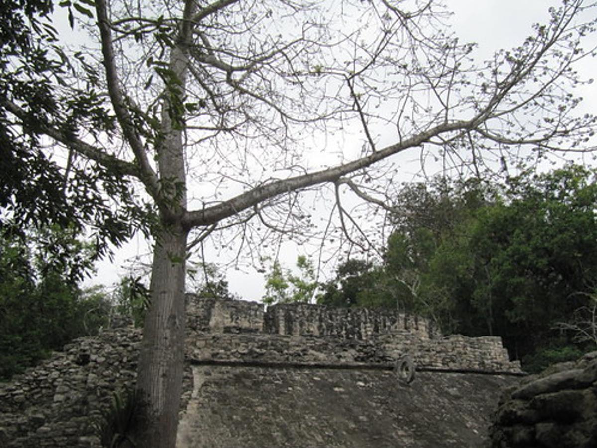 Guatemala eleva su alerta climática a nivel nacional y Totonicapán entra en emergencia roja