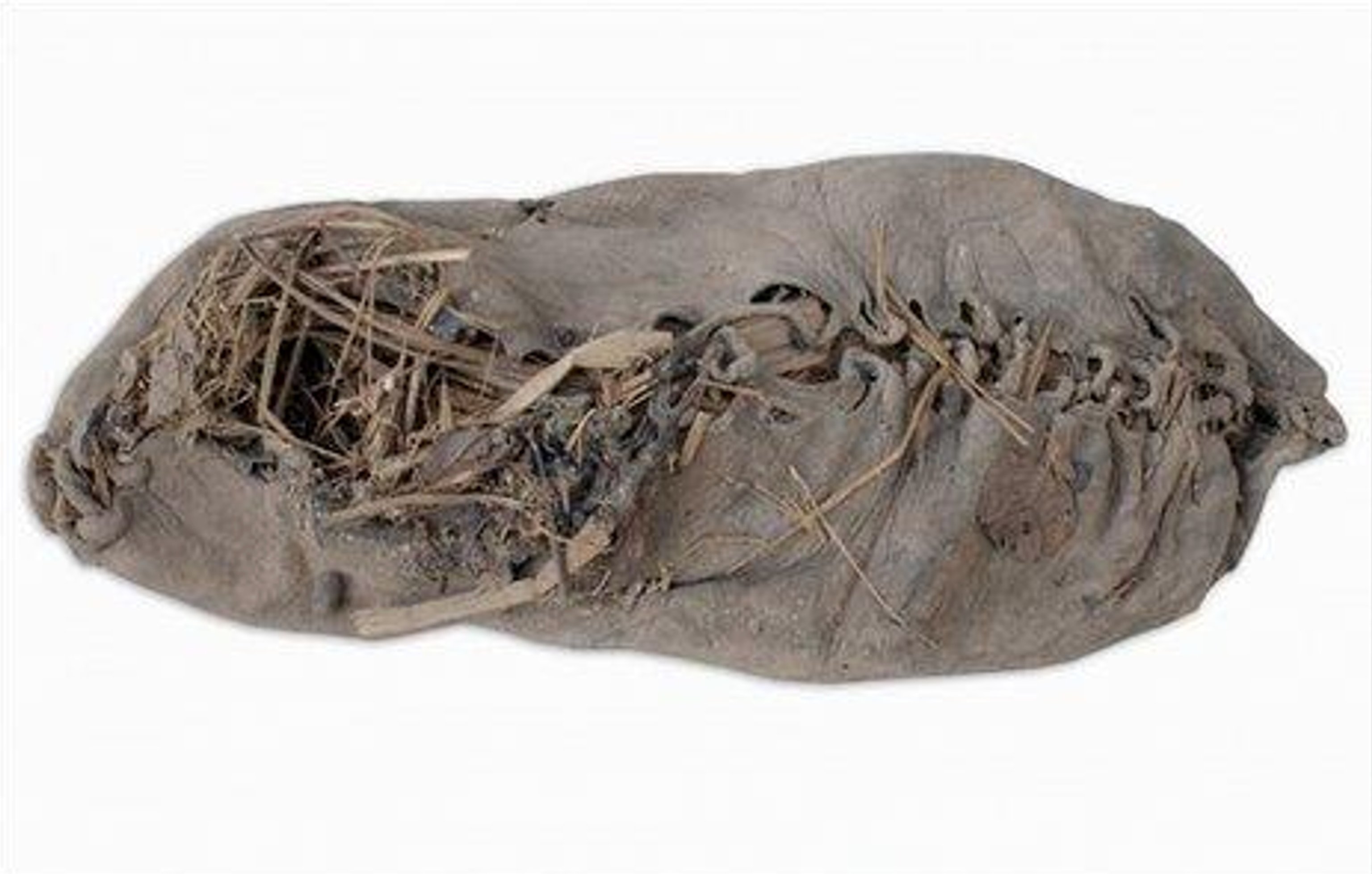 Oldest leather shoe dating back to 3500 BC, discovered in Armenia. Credit: BBC News