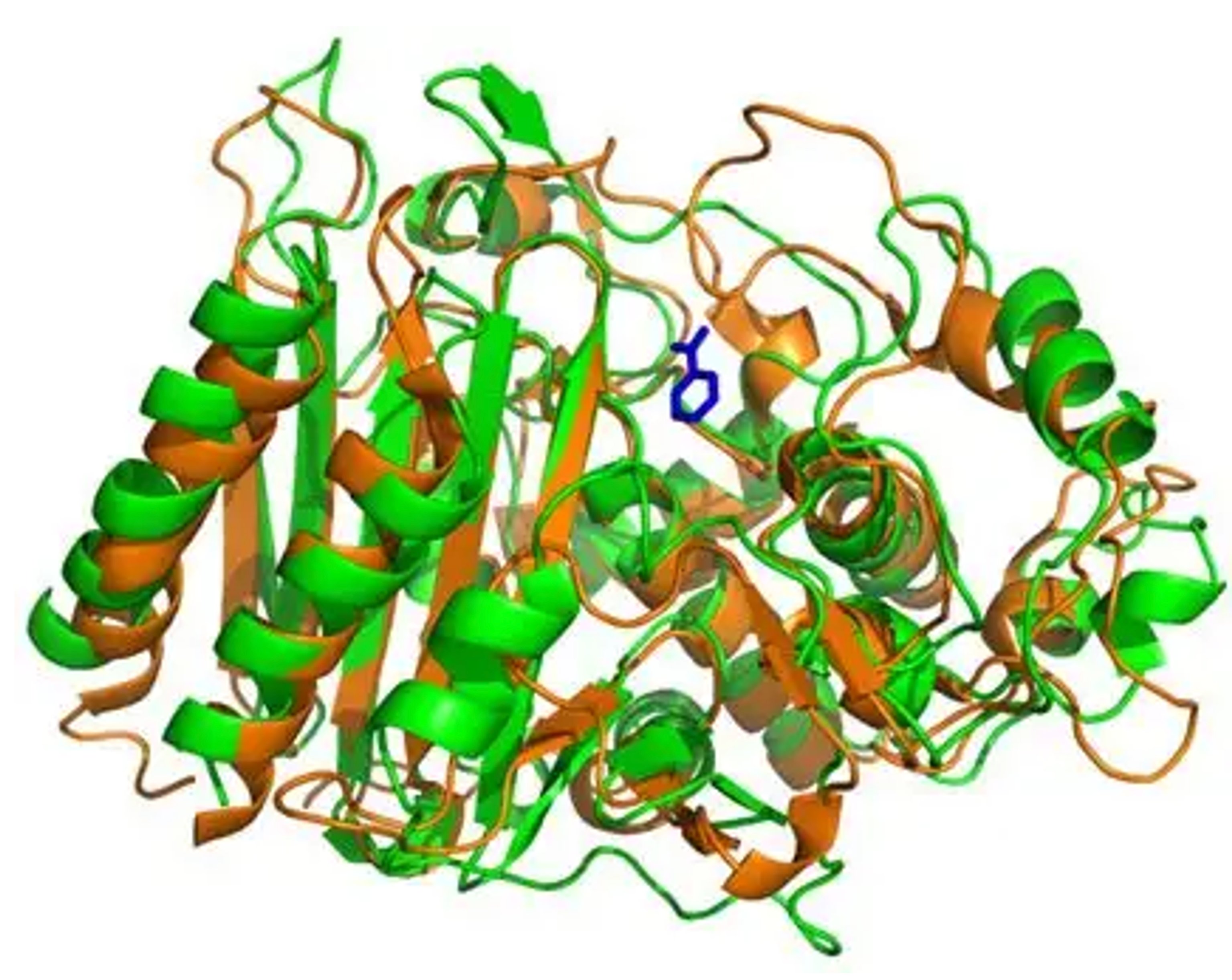 Beta-lactamase structure