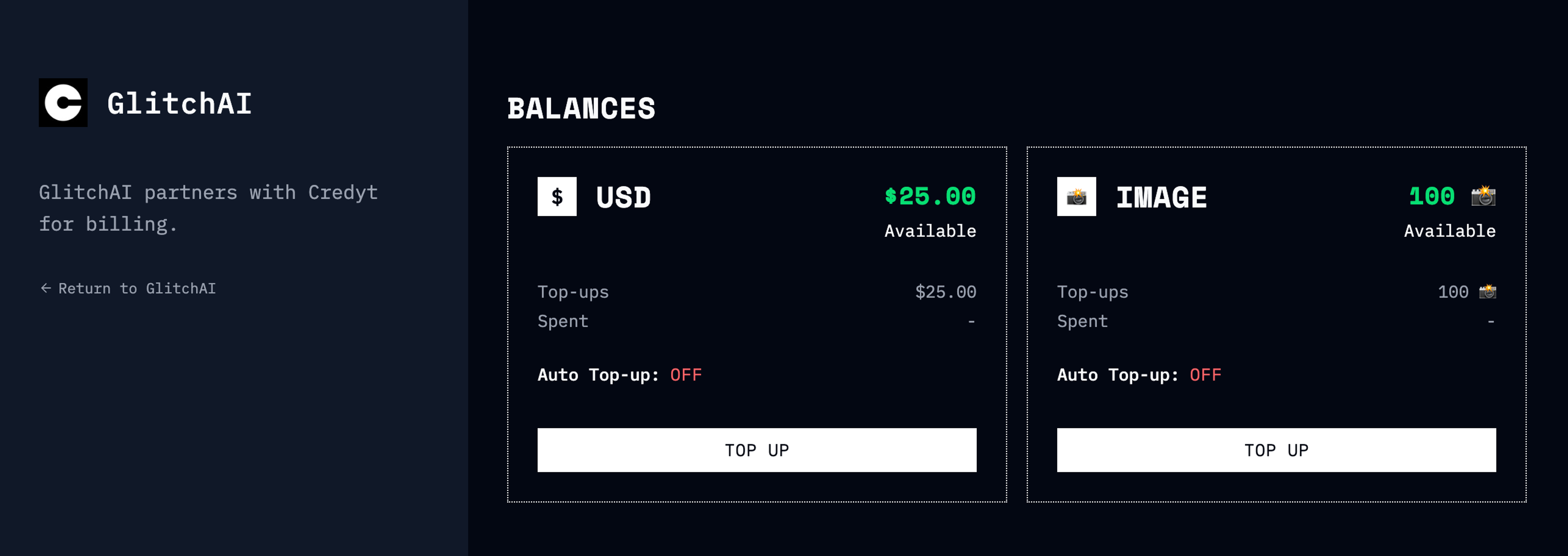 Credyt's billing portal displaying the balances of both fiat and custom assets