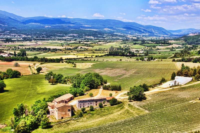 Vue panoramique des vignobles en Provence avec des montagnes en arrière-plan, illustrant les domaines viticoles pittoresques de la région.