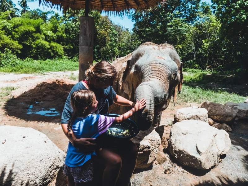 Maud et Anna nourrissant un éléphant dans un environnement verdoyant à Koh Phangan, Thaïlande.