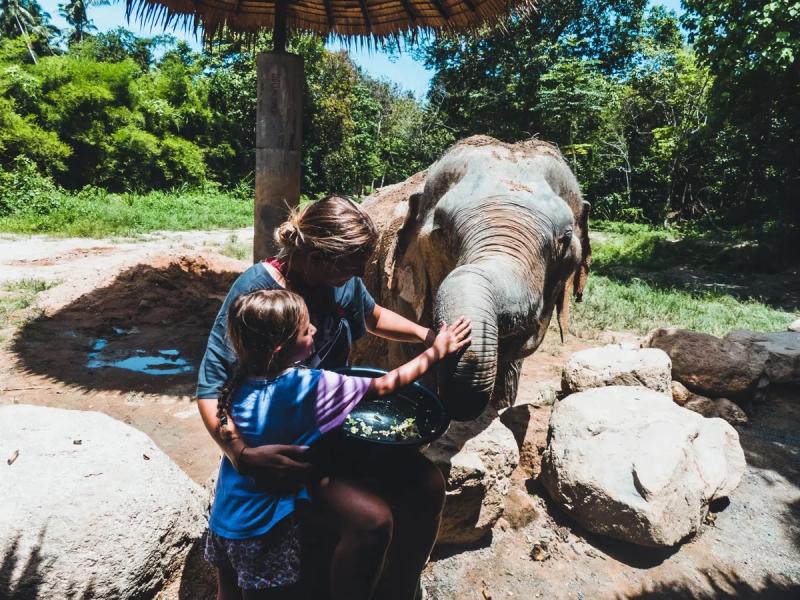 Maud et Anna nourrissant un éléphant dans un environnement verdoyant à Koh Phangan, Thaïlande.