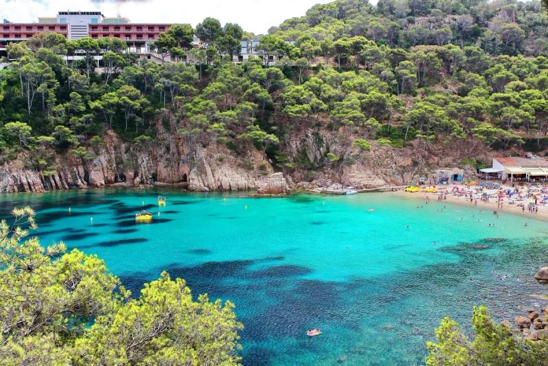 Vue aérienne d'une plage à Begur avec des eaux turquoise et une végétation dense.