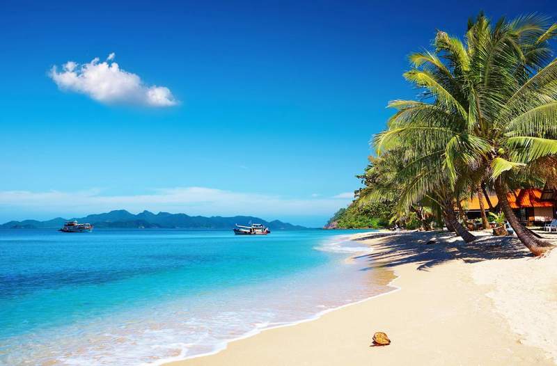 Plage paradisiaque bordée de palmiers à Koh Samui en Thaïlande, sable fin et eau turquoise.