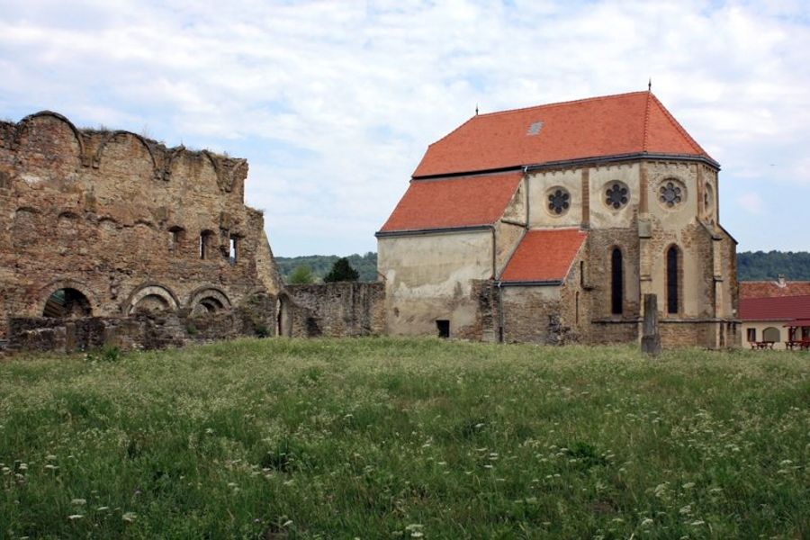 Ruines du monastère de Cârța, site médiéval en Roumanie entouré de nature.