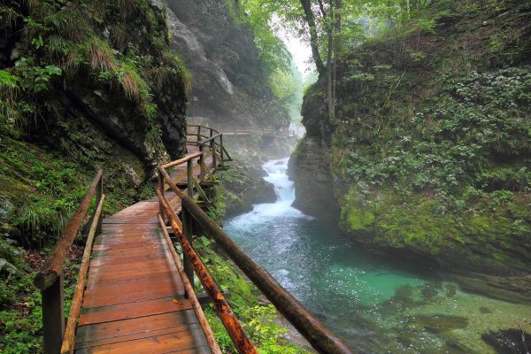 Passerelle en bois longeant la Radovna entre les parois rocheuses des gorges de Vintgar.
