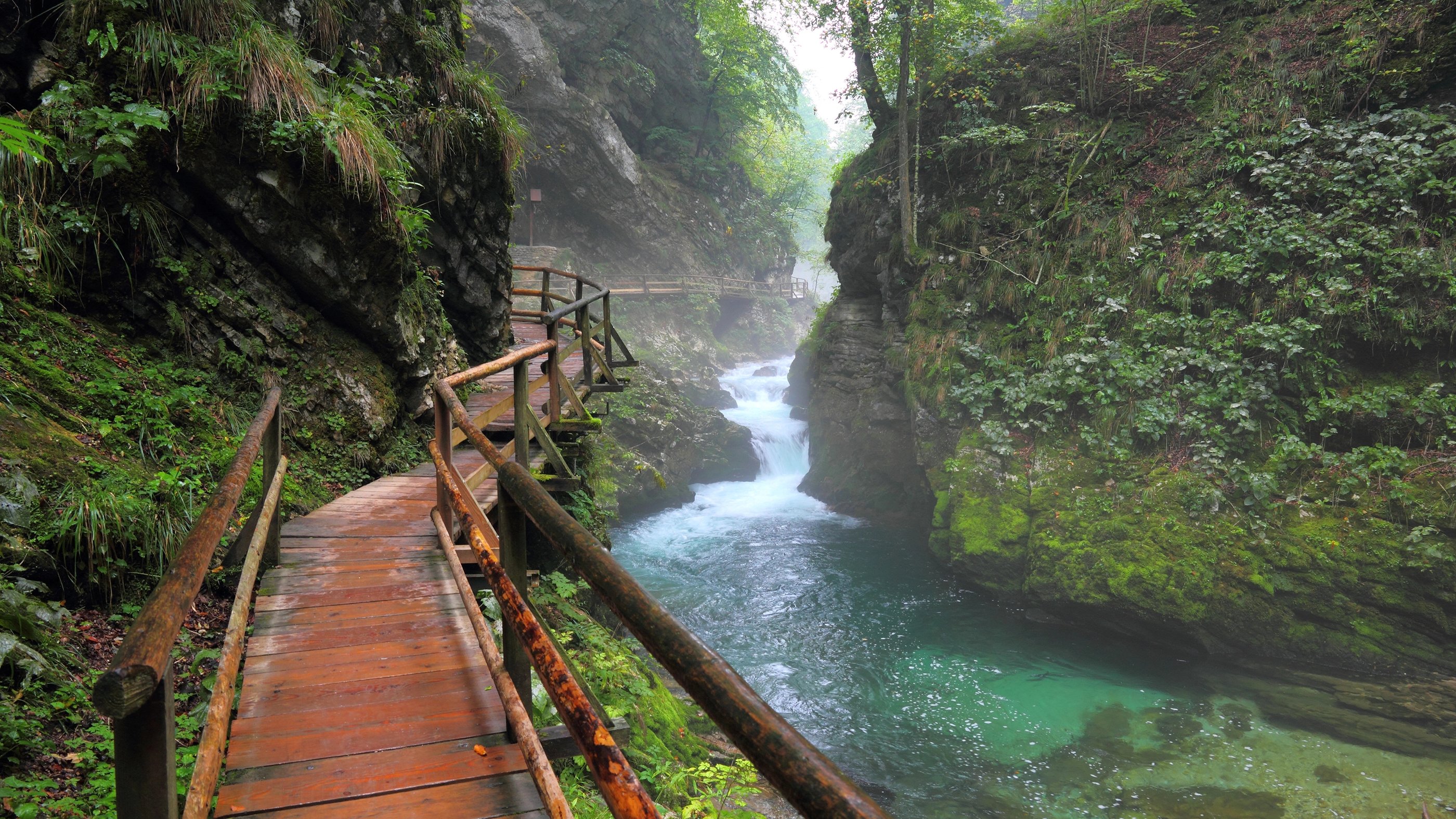 Passerelle en bois longeant la Radovna entre les parois rocheuses des gorges de Vintgar.